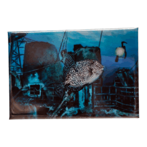 kunstmagnet das wrack und sein wächter